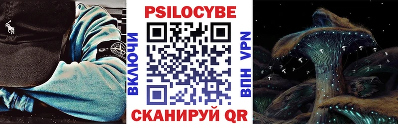 Купить закладки Сольвычегодск Псилоцибиновые грибы Magic Shrooms